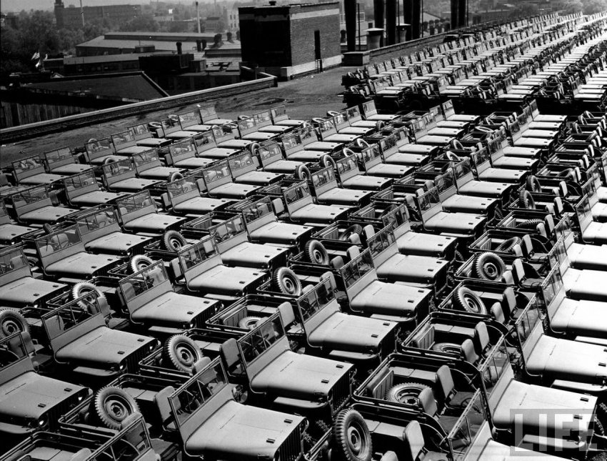 rows of jeeps