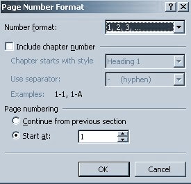 page no format pic