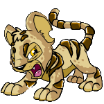 tiger